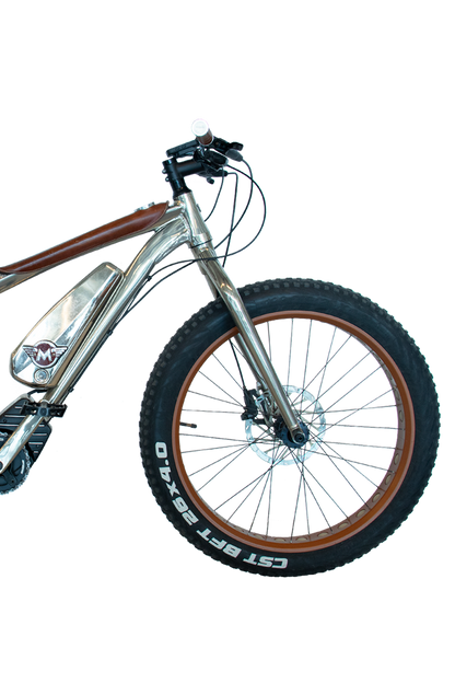 E-BIKE EXTREME EDITION